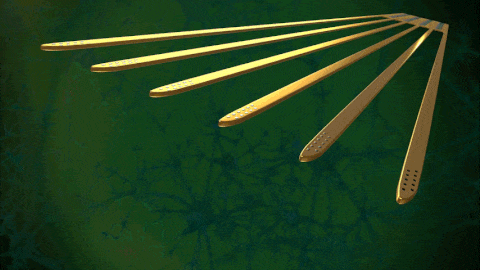 Cambridge-NeuroTech-Advanced-Silicon-Neural-Probes-for-electrophysiology-and-optogenetics Cambridge-NeuroTech-Advanced-Silicon-Neural-Probes-for-electrophysiology-and-optogenetics